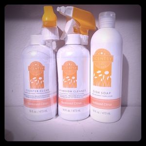 Scentsy combo
